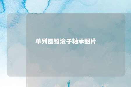 单列圆锥滚子轴承图片 