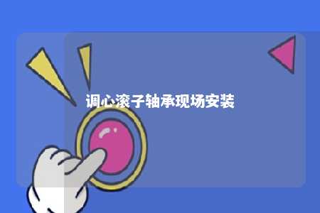 调心滚子轴承现场安装 