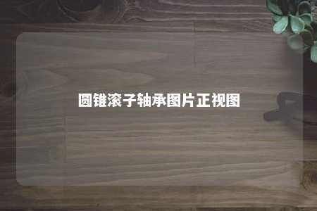 圆锥滚子轴承图片正视图 