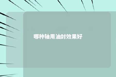 哪种轴用油封效果好 