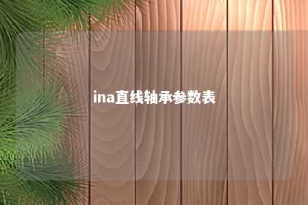 ina直线轴承参数表 