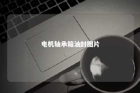 电机轴承箱油封图片