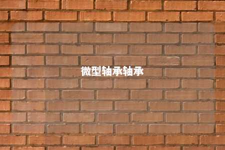 微型轴承轴承 